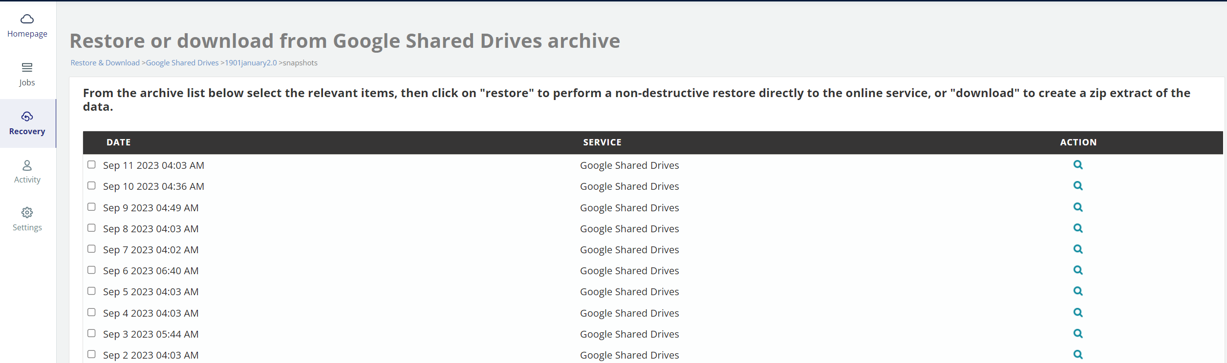 Restore or download from Google Shared Drives archive
