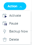 Action Menu: Activate, Pause, Backup Now and Delete
