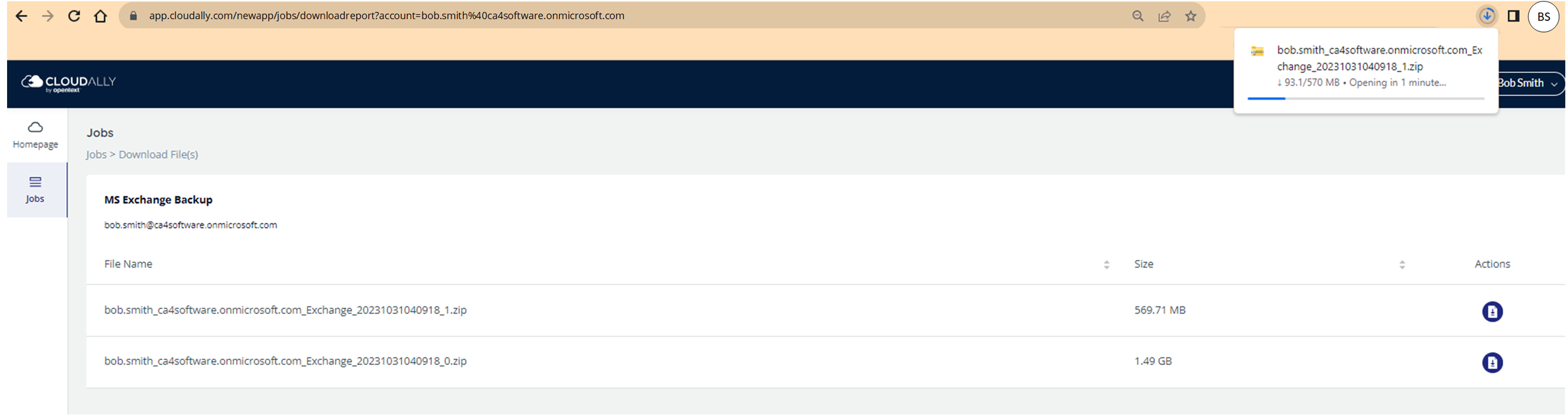Microsoft Exchange Backp export page with button that downloads the export zip file