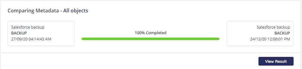 Comparing metadata - progress bar shows 100% completed and View Results button highlighted