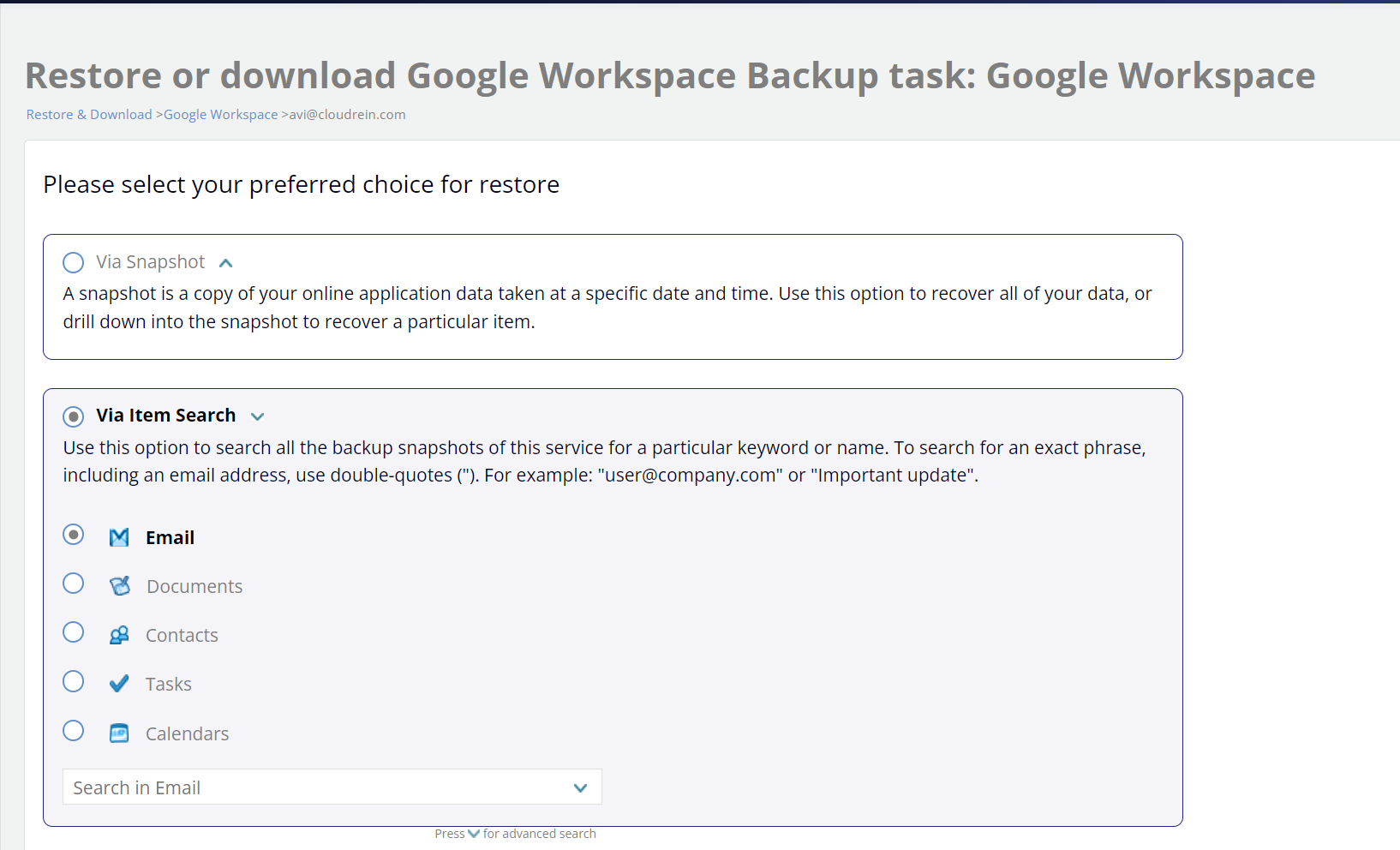 Restore or download Google Workspace backup task - via item search options displayed
